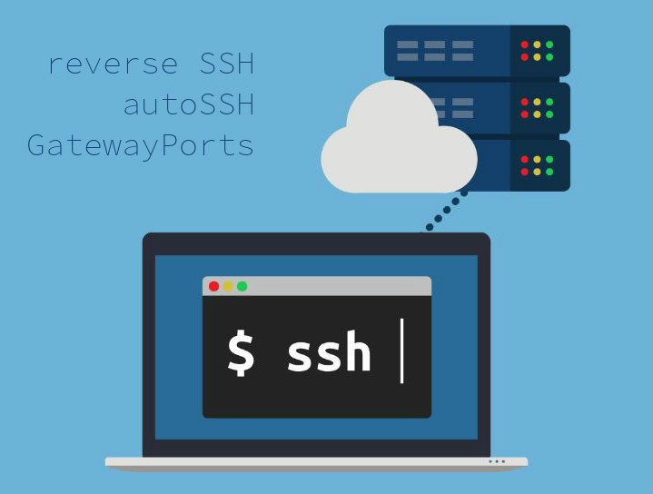 reverse ssh shell